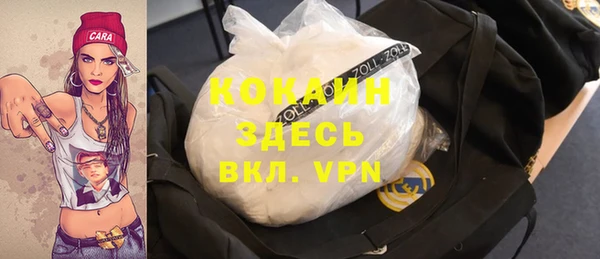 гидра Арсеньев