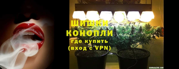 гидра Арсеньев