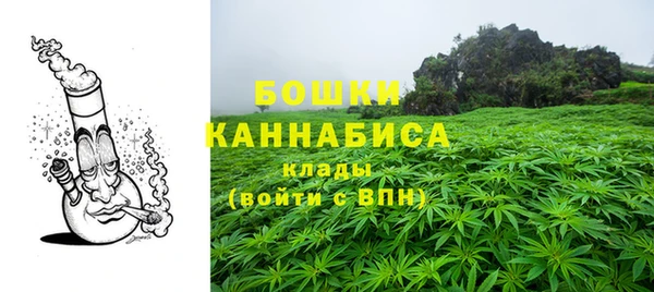 гидра Арсеньев