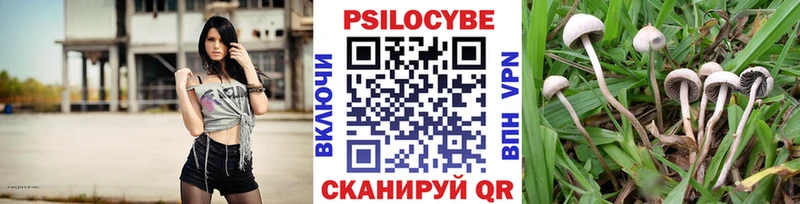 Галлюциногенные грибы Cubensis  купить закладку  Снежинск 